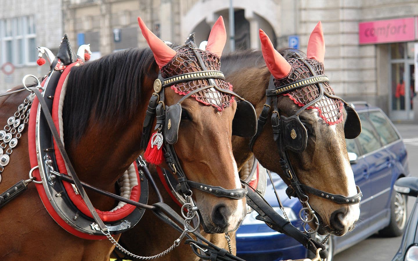 Сектанство