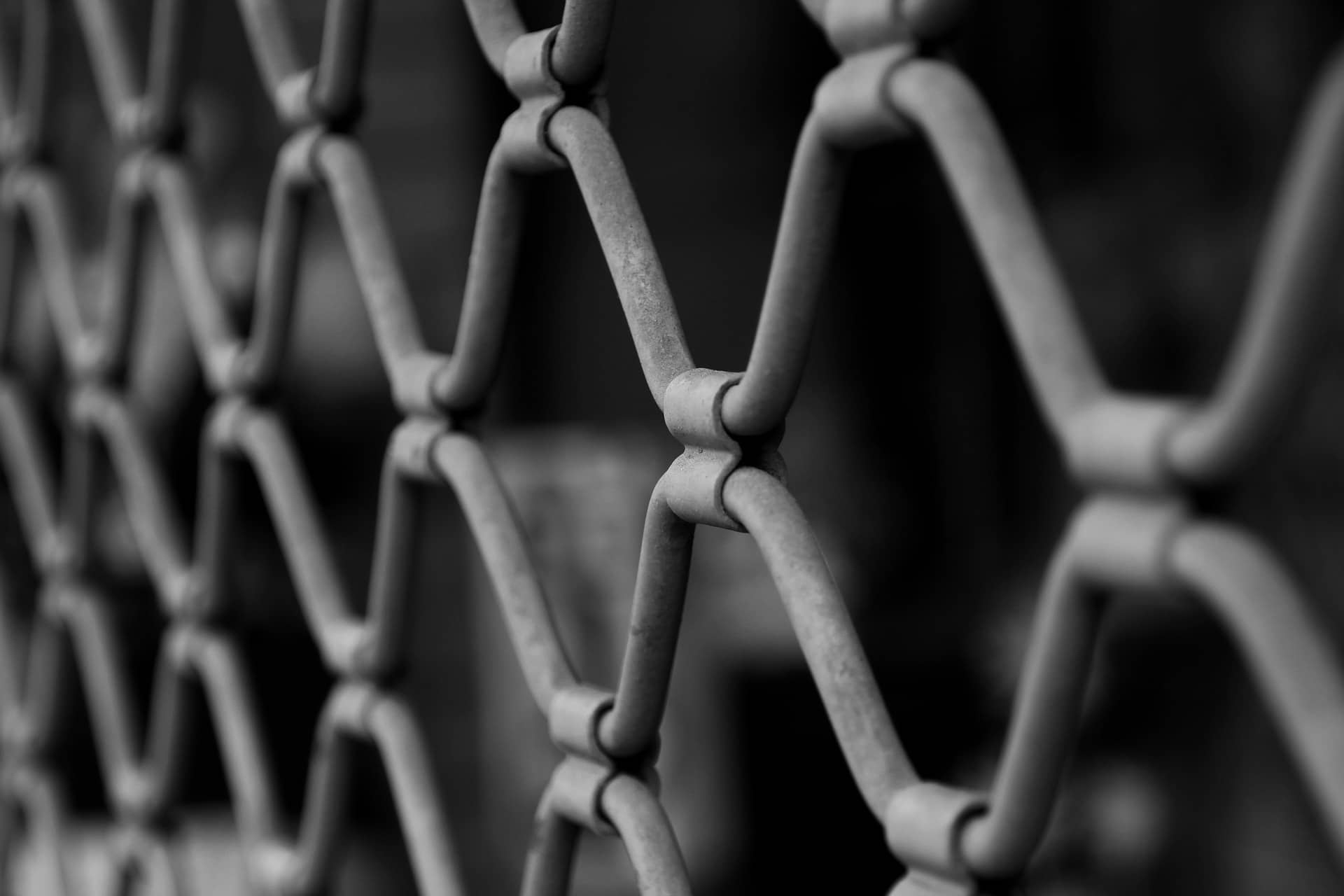 Свідки Єгови