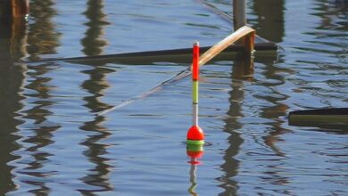 науковий метод