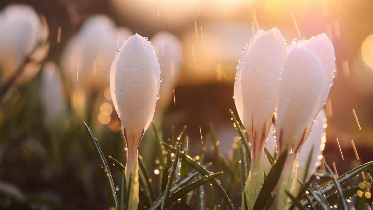 вірші на Пасху