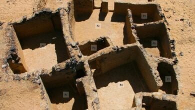 археологи знайшли