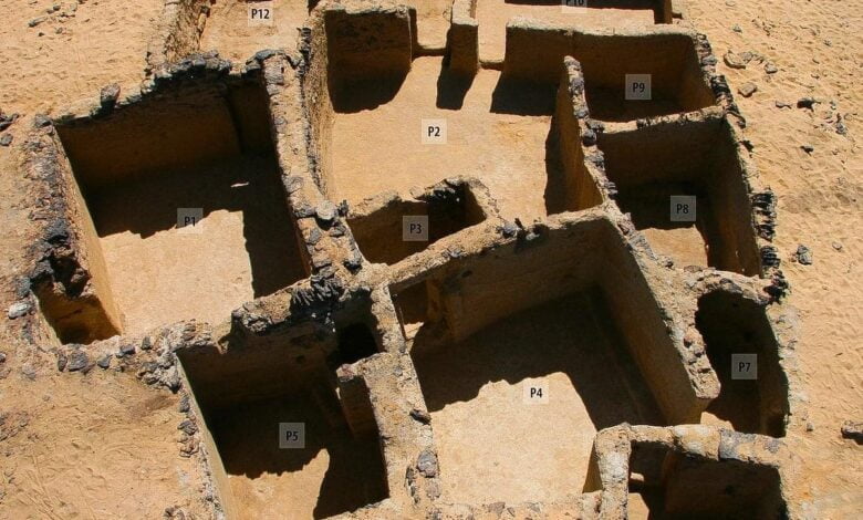 археологи знайшли