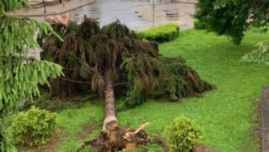 Про Божу любов