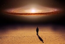 антропний принцип