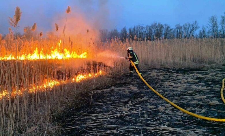 гасіння трави