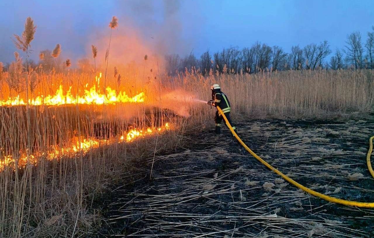 гасіння трави