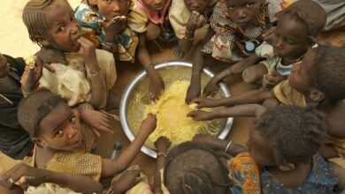 загрозою голоду