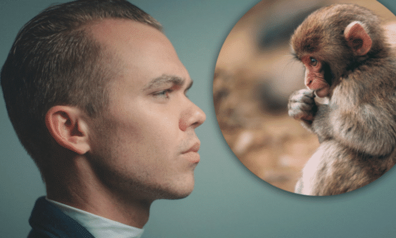 експеримент