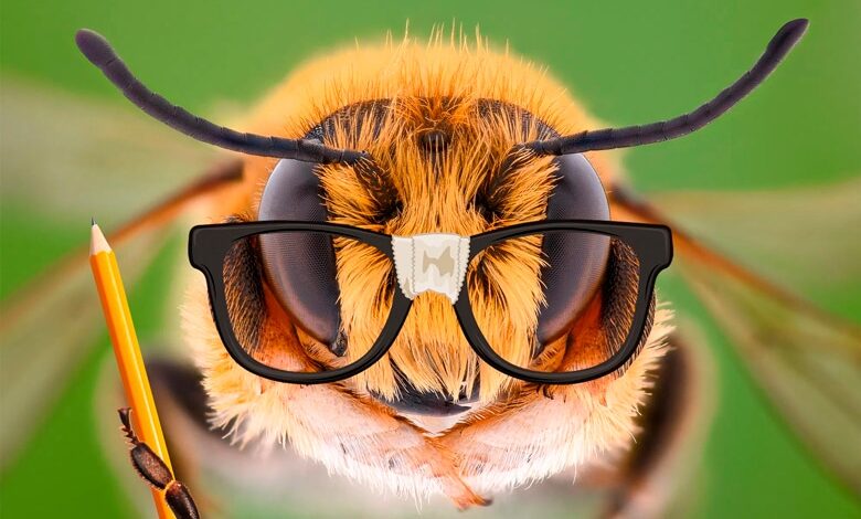 інформаційний обмін