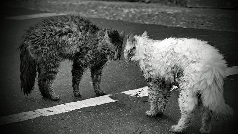 фундаменталізм