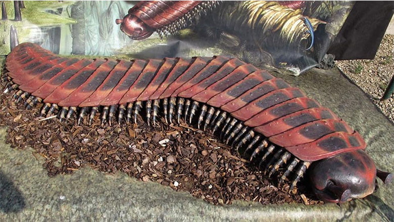 літаючі рептилії