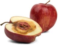 лицемірство