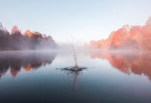 Про впевненість у спасінні