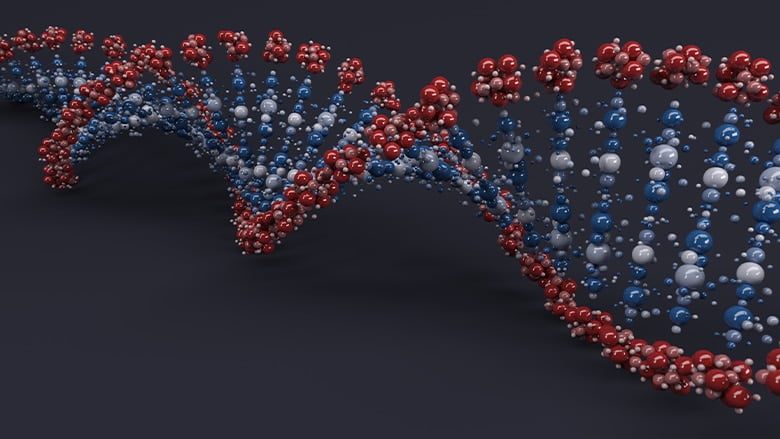 Молекула ДНК