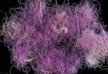 Фіолетові нитки