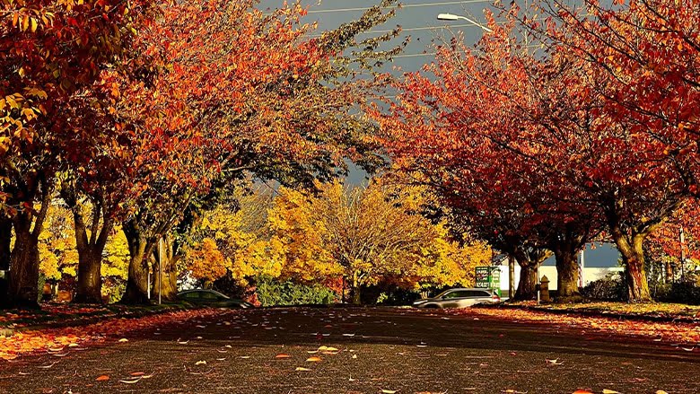 трудно любить