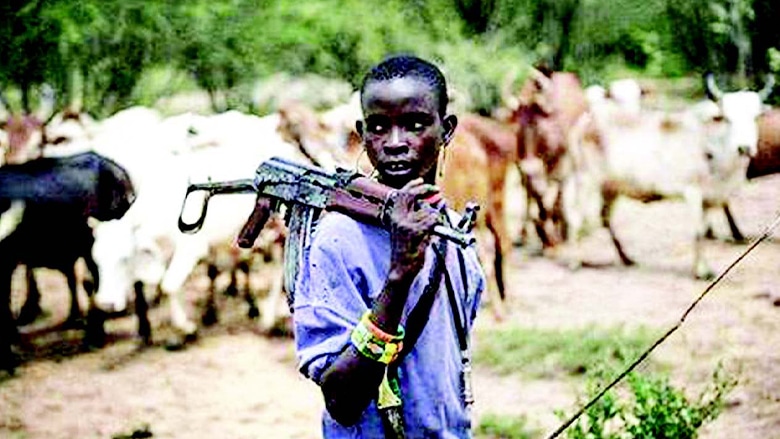 фулані в Нігерії