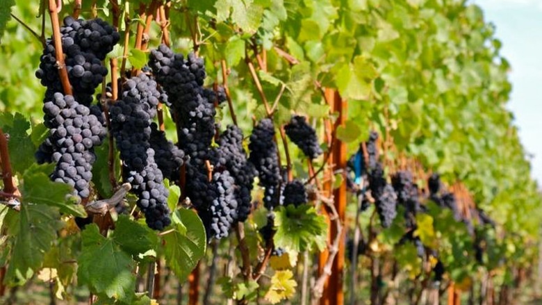 глобальне потепління