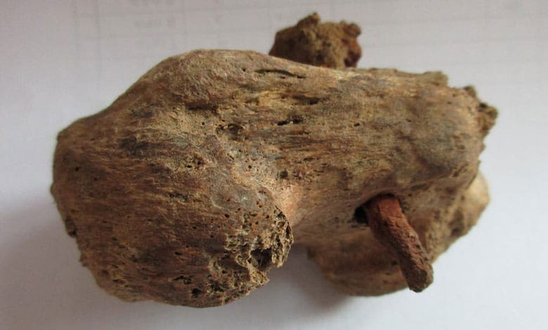 10 найкращих відкриттів біблійної археології 2021 року