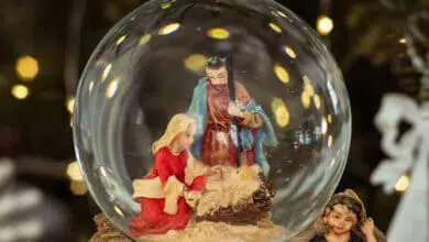 Різдво вкрасти