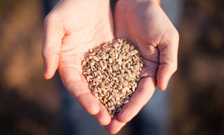 розпоряджатися своїм часом