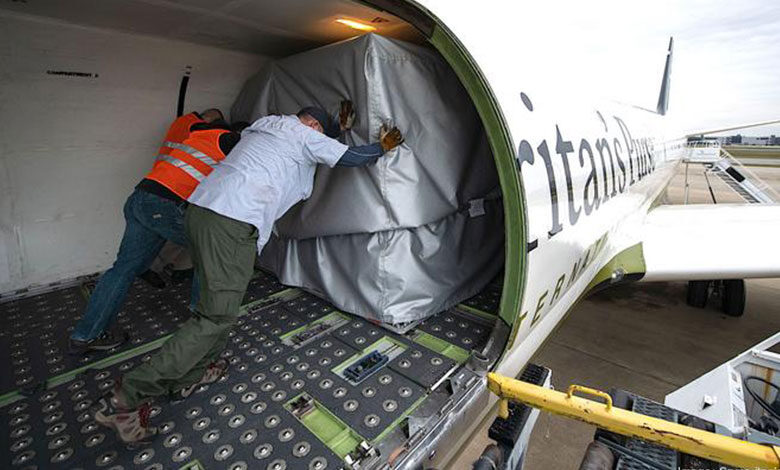 Сумка Самарянина