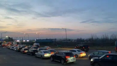 повернулися додому