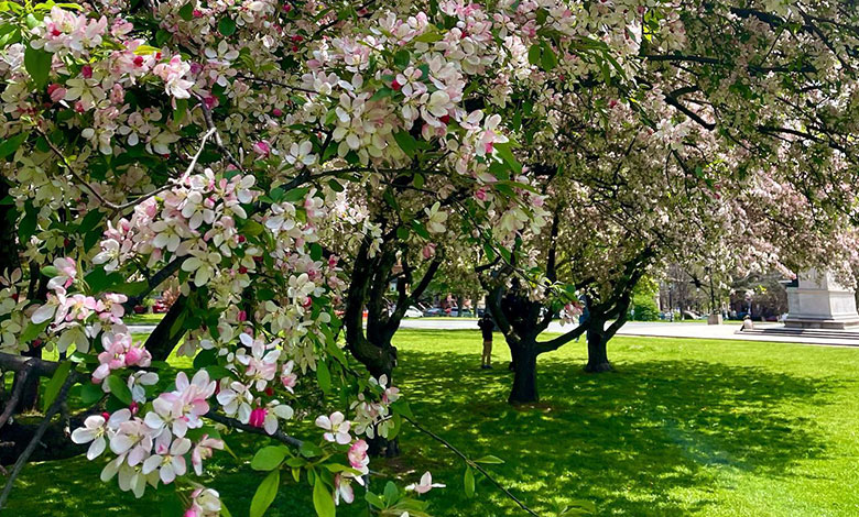 згадати маму