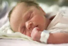 в Украине родилось