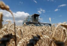 Голод Україні не загрожує