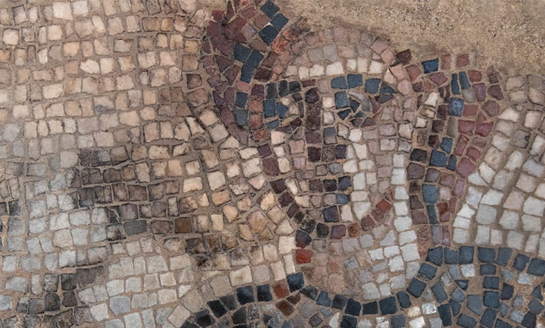 Археологи в Израиле