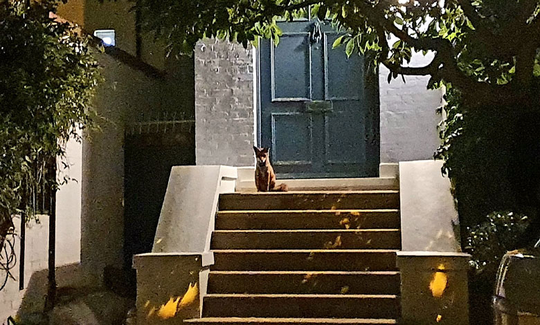 случилось со мной