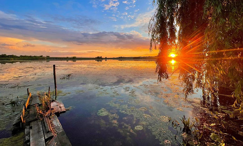 питання влади