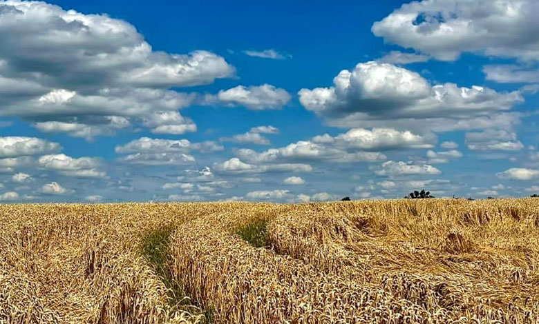 вечная жизнь