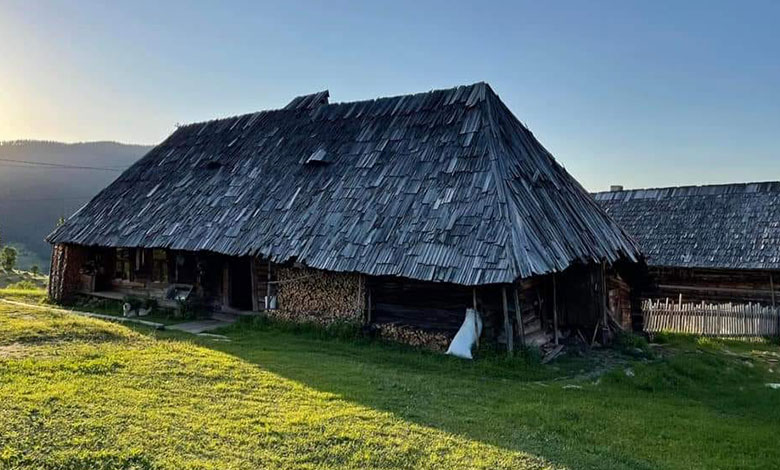 матерные слова