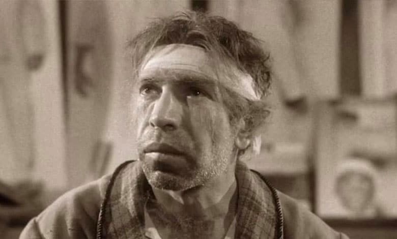 види безумства