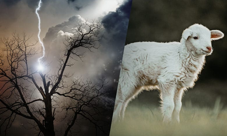 Представление о Боге