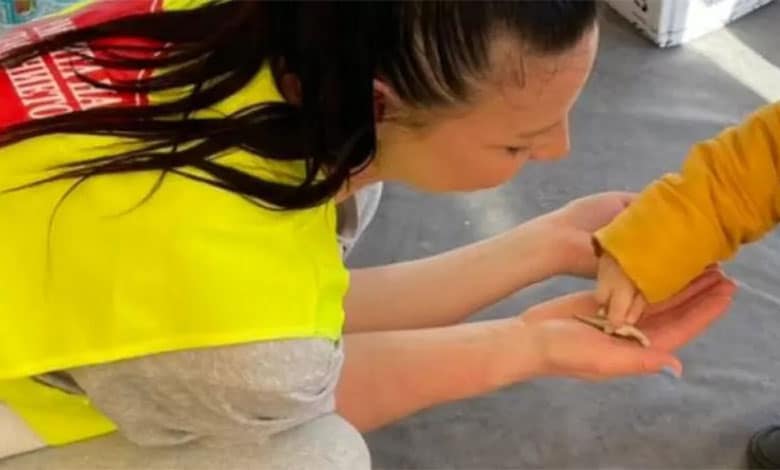 християнська організація