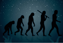 теорія еволюції