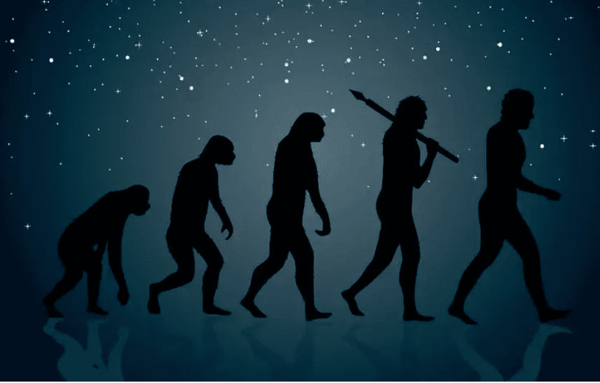 теорія еволюції