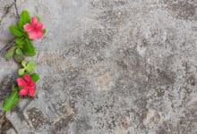 Все випадково