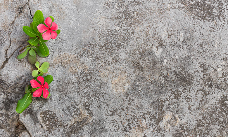 Все випадково