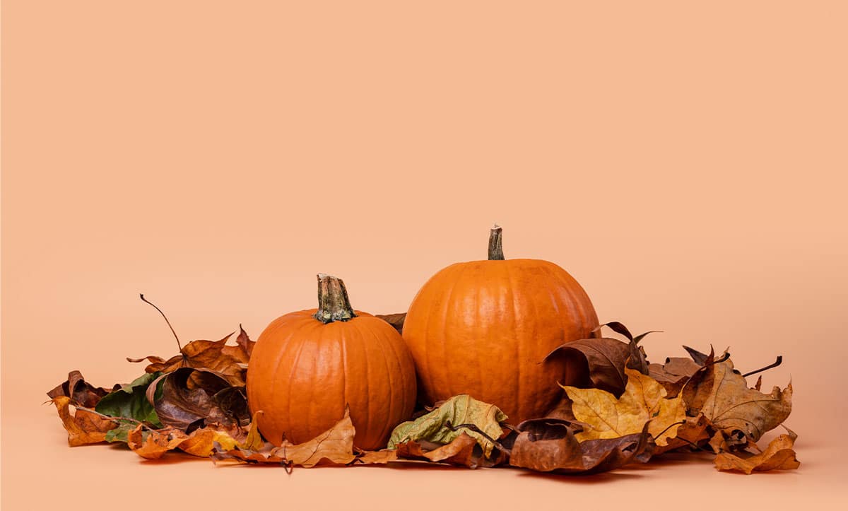 відношення для Хелловіна