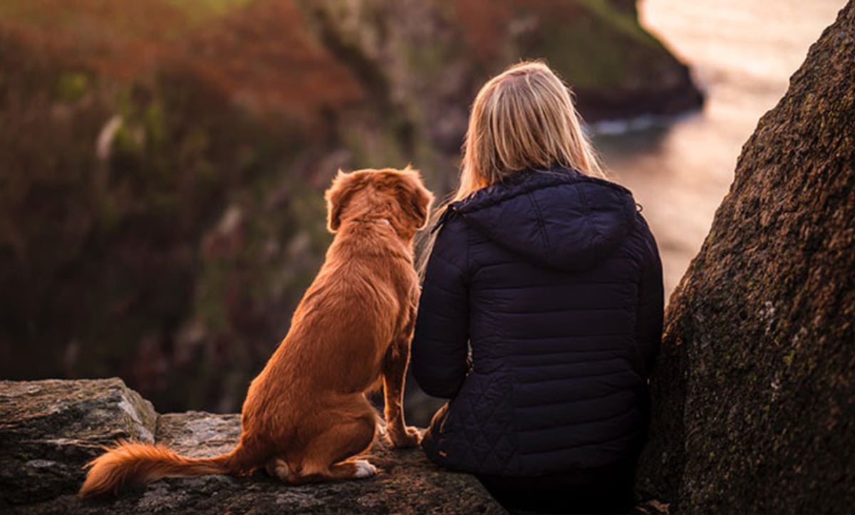 повернення до Раю