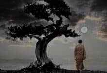 бачити картину цілком