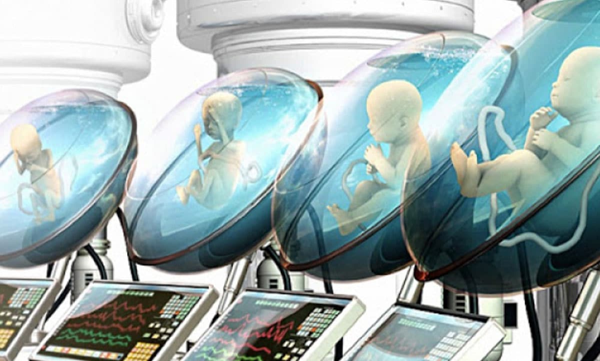 вирощення людини поза людським організмом