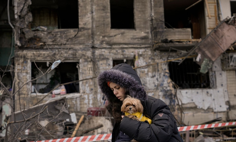 українські біженці та ВПО