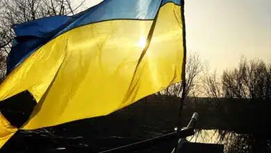 Рік великої війни
