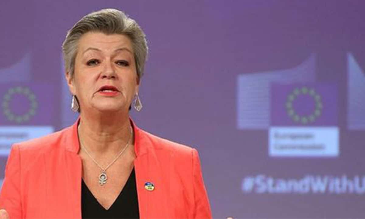 повернулися на батьківщину