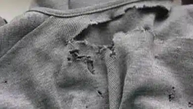 публічно ображати